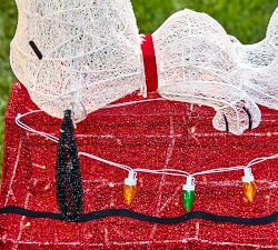 Peanuts™ Lit Snoopy™ On House