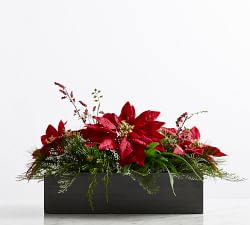Composed Poinsettia Centerpiece