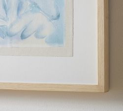 The Succulent by Ty Williams