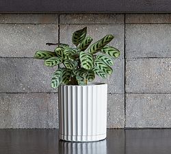 Modern Eco Cachepots - Set of 2