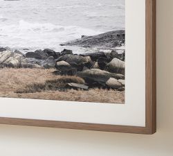 Stoney Shores by Tara Hogan