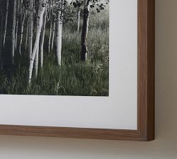 Aspen Grove by Tara Hogan