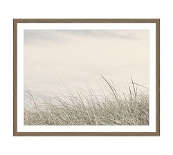 Cape Cod Grass by Tara Hogan