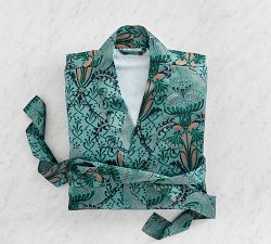 Wicked Elphaba Robe
