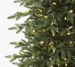 Tree Classics by Balsam Hill Lit Oregonian Slim Faux Christmas Tree