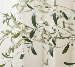 Pottery Barn Olive Tree - Thumbnail 5