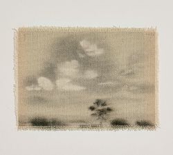 Tiny Landscapes by Chelsea Fly