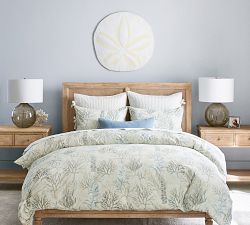 Oversized Sand Dollar