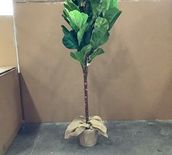 Open Box: Faux Potted Fiddle Leaf Fig Tree, Medium, 7'