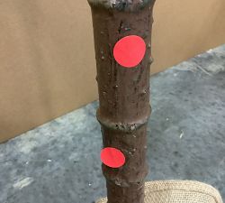 Open Box: Faux Potted Fiddle Leaf Fig Tree, Medium, 7'