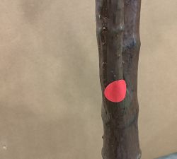 Open Box: Faux Potted Fiddle Leaf Fig Tree, Medium, 7'