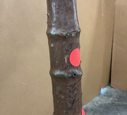 Open Box: Faux Potted Fiddle Leaf Fig Tree, Medium, 7'