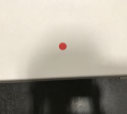 Open Box: Pomona Concrete Chunky Leg Rectangular Outdoor Coffee Table, 50" - White