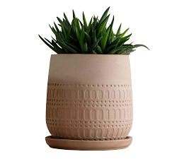 Handcrafted Mojave Planters