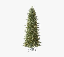 Tree Classics by Balsam Hill Lit Oregonian Slim Faux Christmas Tree