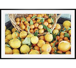 Citrus Basket by Lupen Grainne