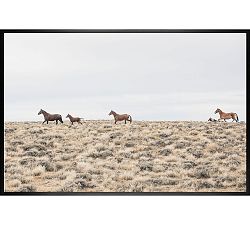 Mustang's In The High Plains by Jennifer Meyers
