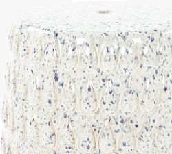 Charles Ceramic Round Outdoor Accent Table (13")