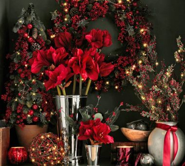 All Botanicals & Trees