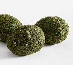 Moss Egg Vase Filler - Set of 6