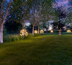 Solar Outdoor Lit Dandelion LED Lawn Stakes