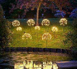 Solar Outdoor Lit Dandelion LED Lawn Stakes