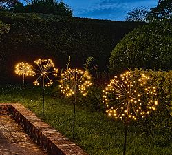 Solar Outdoor Lit Dandelion LED Lawn Stakes