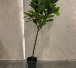 Open Box: Faux Potted Fiddle Leaf Fig Tree, Large, 8'