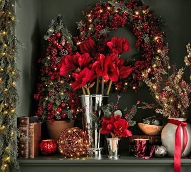 The Holiday Botanicals Shop