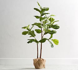 Faux Fiddle Leaf Fig Trees