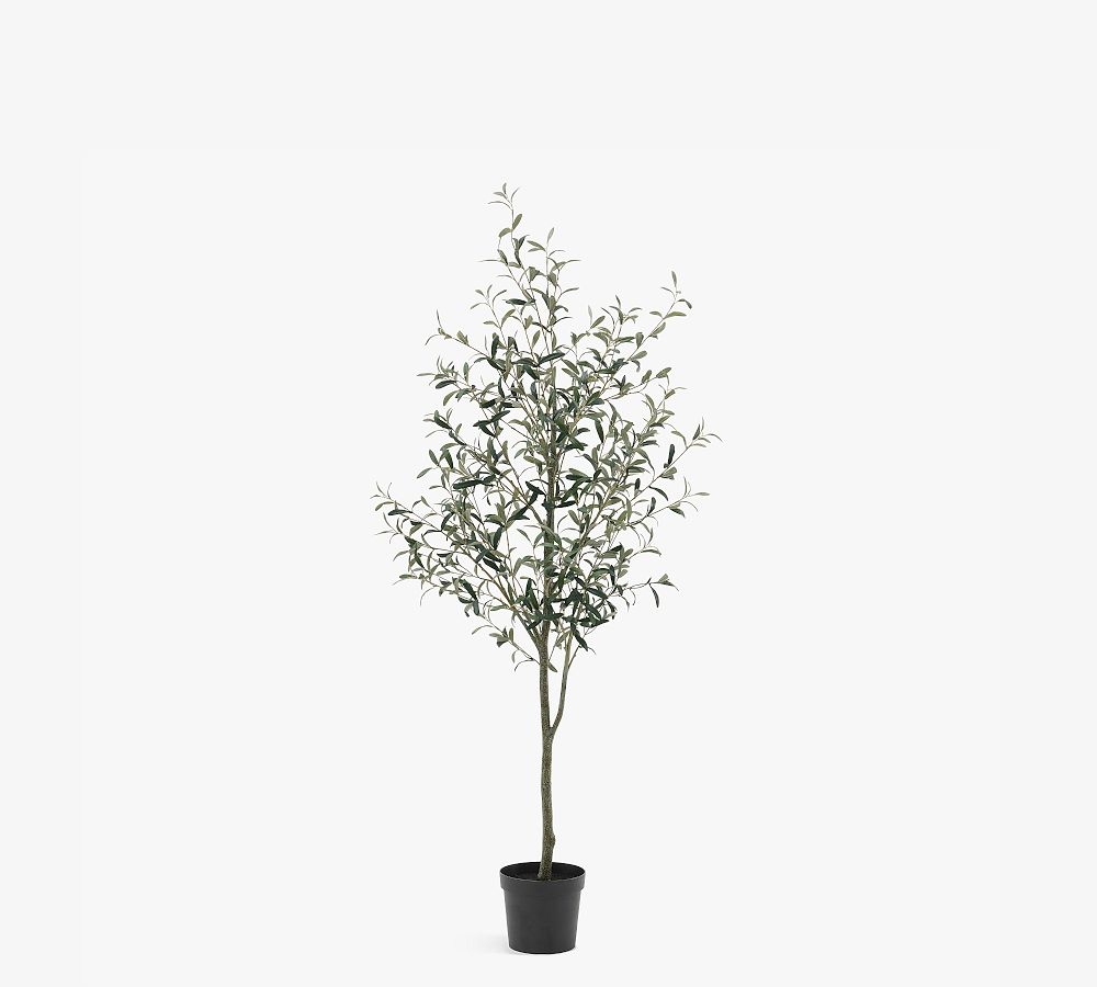 Faux Olive Trees - 6', Green