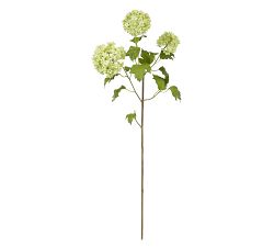 Faux Snowball Dozen Stems