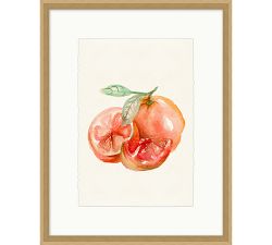Summer Citrus Framed Print