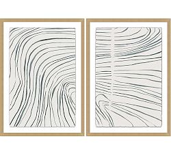 Trail by Kelly Ventura