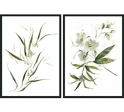 Tree Peonies &amp; Seeded Eucalyptus by Kelly Ventura