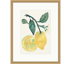 Summer Citrus Framed Print