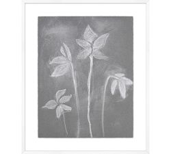 White Stems Framed Print