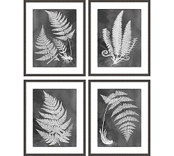 Slate Fern Framed Print
