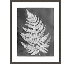 Slate Fern Framed Print