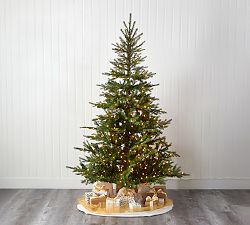 Lit North Carolina Spruce Faux Christmas Tree