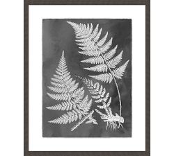 Slate Fern Framed Print