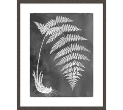Slate Fern Framed Print