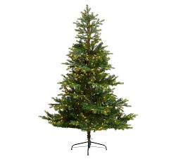 Lit North Carolina Spruce Faux Christmas Tree