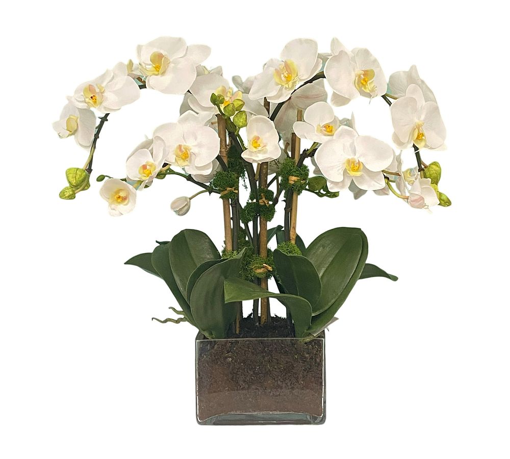 Faux Orchid Phalaenopsis Arrangement in Square Vase