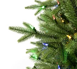 Addison Spruce Christmas Tree with Multi-Colored Lights