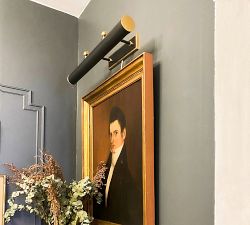 Kinley Plug-In Large Picture Light (25.25&quot;)