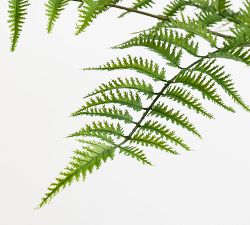 Faux Potted Trunked Curly Fern