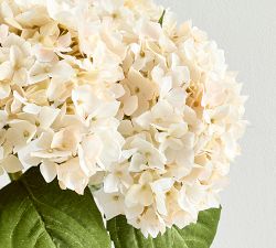 Faux Composed Hydrangeas