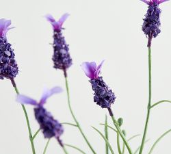 Monique Lhuillier Faux Lavendar Potted Topiary