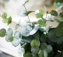 Faux Baby Blue Eucalyptus Bundle